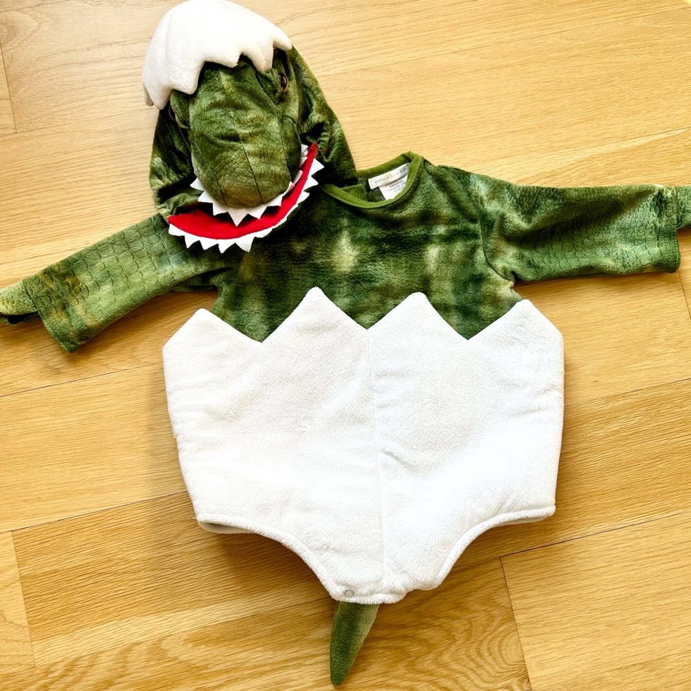 Pottery Barn 6-12mos. Dinosaur Halloween Costume